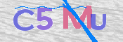 Image Anti-spam