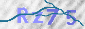 Image Anti-spam