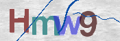 Image Anti-spam